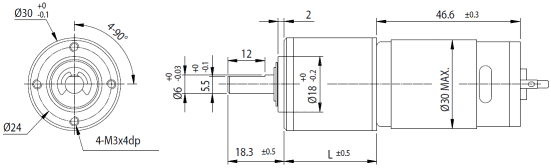 Dimensions of DC motor with planetary gearbox - series PG300
